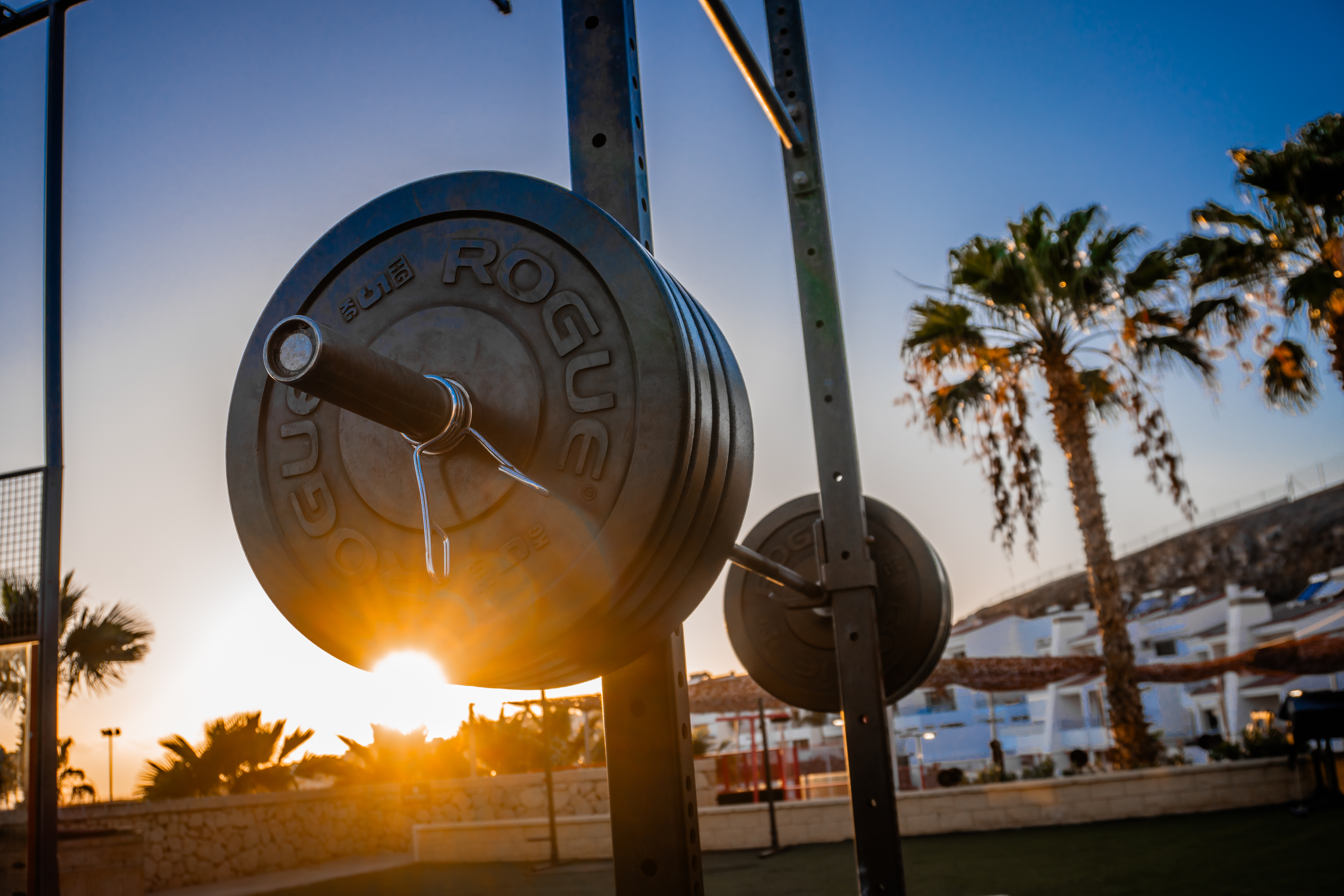 survive top training barbell survive-barbell-sunset
